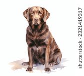 LABRADOR RETRIEVER watercolor portrait painting illustrated dog puppy isolated on transparent white background