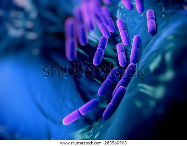 
Lactobacillus bacteria. This lactic acid-producing bacteria is used
in the production of yoghurt and other fermented products.they
serve a protective role against more dangerous
bacteria.
