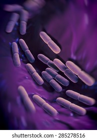 Lactobacillus  Bulgaricus Bacteria. This Bacteria Is Used In Production Of Yoghurt .The Bacteria Are Also Found In Vagina Of Humans  , They Serve A Protective Role Against More Dangerous Bacteria.