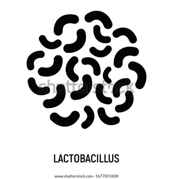 Lactobacillus Icon Probiotic Concept Logo Label Stock Illustration ...