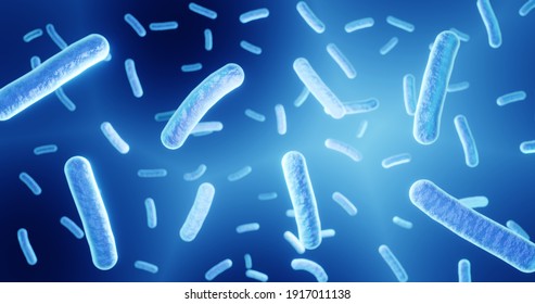 Lactobacillus Probiotic Bacteria 3d Illustration