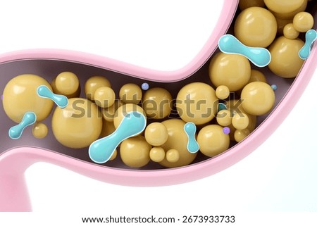 Lactobacillus probiotic bacteria treating constipation in the colon, softening waste for a healthy bowel movement. 3D render for digestive supplements and gut health concepts