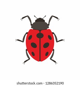 Ladybug Isolated On White Background Stock Illustration 1286352190 ...