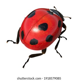 Ladybug In Outdoor Lights 3D Illustration On White Background