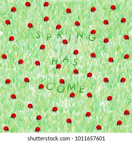 Ladybugs in the grass