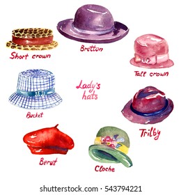Lady's hats types: Short Crown, Bretton, Tall Crown, Trilby, Bucket, Cloche, Beret,  hand painted watercolor illustration