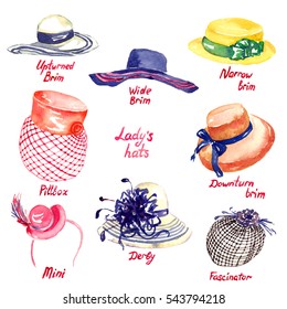 Lady's hats types: Upturned Brim, Wide Brim, Narrow Brim, Downturn Brim, Pillbox, Mini, Derby, Fascinator, hand painted watercolor illustration