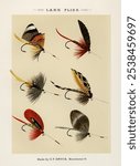 Lake Flies from our own original 1892 edition of Favorite Flies and Their Histories by Mary Orvis Marbury. Vintage Lake Flies art illustration, old Fishing bait art print.