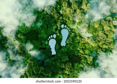 Un lago en forma de huellas humanas en medio de un bosque exuberante como metáfora del impacto de la actividad humana en el paisaje y la naturaleza en general. 3 quinquies de representación.