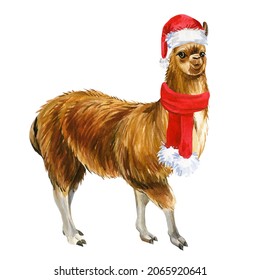 Christmas Images, Stock Vectors | Shutterstock