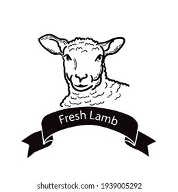 Lamb. Hand-drawn sketch in a graphic style. Vintage  engraving illustration for poster, signboard, web. Isolated on white