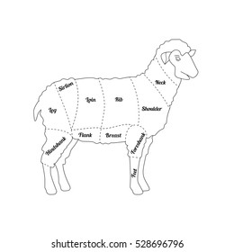 Lamb Meat Thin Line Farm Animal Stock Vector (Royalty Free) 503105404 ...