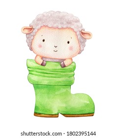 Lamb sit in green shoe. Little sheep look out of a rain boot. Cute character illustration hand painted in watercolor. Children illustration for fabrics, print, poster, postcard, sticker