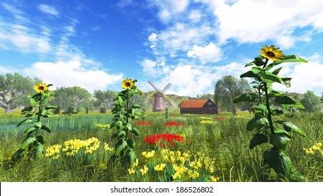 landscape