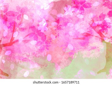 Landscape with cherry blossoms in full bloom, background illustration