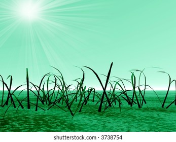 Landscape with grass