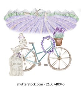 Landscape With Lavender Field And Bicycle.  Watercolor Illustration.