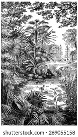 Landscape Of The Miocene Period In Lausanne, Vintage Engraved Illustration. Earth Before Man  1886.