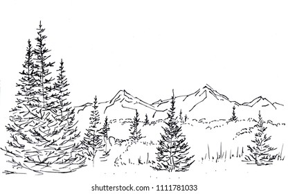 406 Vineyard Landscape Black White Sketch Images, Stock Photos ...