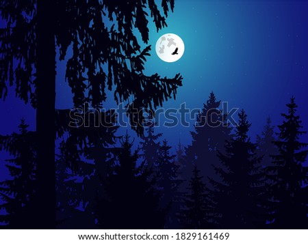 Landscape. Pine tree forest.. Moonlit Night.