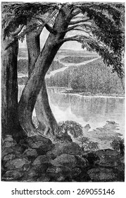 Landscape Of The Triassic Era, Vintage Engraved Illustration. Earth Before Man  1886.