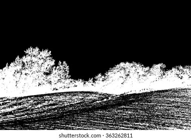 landscape ,white trees