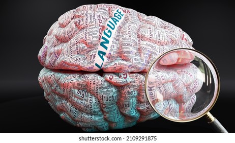 Language in human brain, a concept showing hundreds of crucial words related to Language projected onto a cortex to fully demonstrate broad extent of this condition, 3d illustration