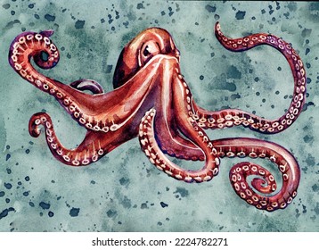 Large ancient octopus with long tentacles. Watercolor drawing of sea creatures.

