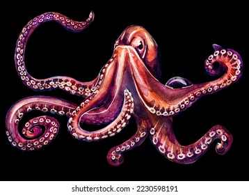 Large ancient octopus with long tentacles on a black background. Watercolor drawing of sea creatures.
