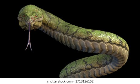 A Large Green Snake. 3d Rendering