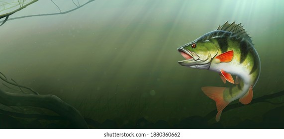 Large lake perch at the bottom of the lake realistic illustration. Big perch fishing in the usa on a river or lake at the weekend.