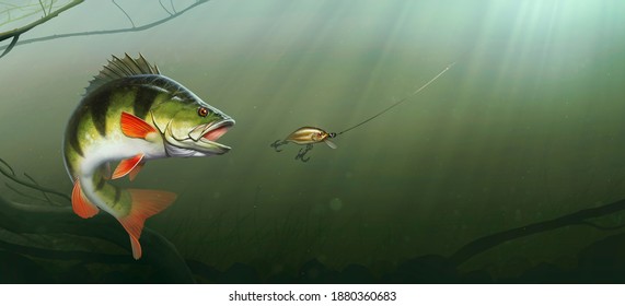 Large Lake Perch At The Bottom Of The Lake Realistic Illustration. Big Perch Fishing In The Usa On A River Or Lake At The Weekend. Predator Attack On The Bait Wobbler.