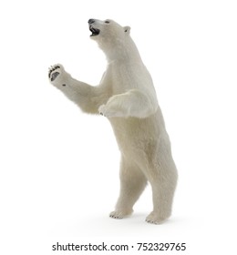 Large Male White Bear Standing Pose On A White. 3D Illustration