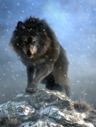 A Large Shaggy Dire Wolf Bares Its Wicked Teeth As It Glares At You With Deep Blue Eyes. The Ice Age Predator Growls And Steps Over Snow Covered Rocks As It Advances. 3D Rendering