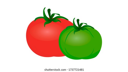 Large Tomatoes.two Tomatoes Green And Red.isolated On A White Background.