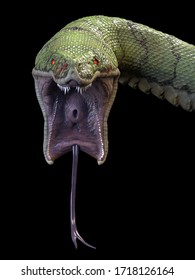 A Large, Toothy Snake. 3d Rendering