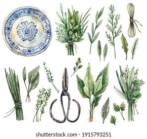 Large watercolor set illustrations    gardening  kitchen herbs  provence  Parsley  dill  sage  oregano  thyme  mint  basil  bunches herbs  rope  vintage scissors  ceramic plate    isolated whit