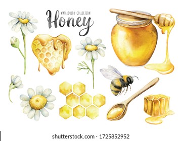 Large watercolor set with a jar honey, bee- bees, chamomile flowers and honeycombs. Sweet illustration for your design. Hand painted isolated on a white background.