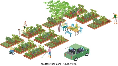 A large-scale illustration of a farmer.