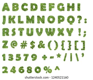 Latin Alphabet made from grass
