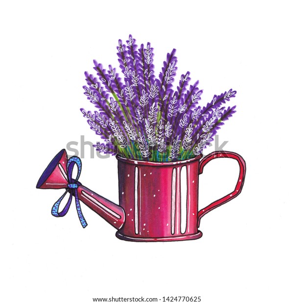 Lavender Bouquet Red Watering Can Isolated Stock Illustration ...