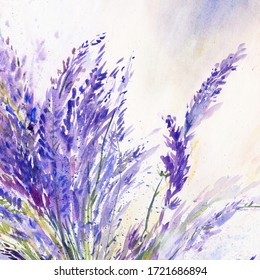 

Lavender bouquet. Watercolor painting. Spring mood. 