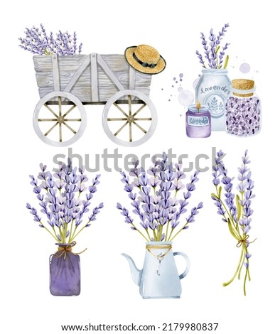 Similar – Image, Stock Photo lavender Lavender Provence