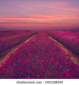 
Lavender Field In Pink Shade. Oil Painting Imitation. 3D Illustration.