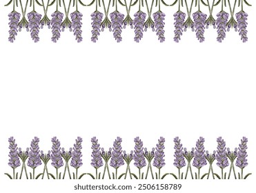 Lavender floral border design with delicate purple blossoms and green stems - Powered by Shutterstock