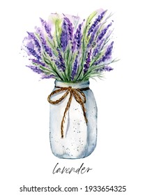 Lavender flower in pot, watercolor painting. Floral illustration isolated on white. Perfectly for stickers, poster, greeting design.	