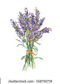 Lavender Flowers Bouquet. Watercolor 