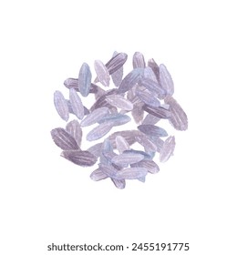 Lavender flowers in a pile isolated on white. Hand painted in watercolor. Herb with purple flowers, eco design. High quality art for packages, essential oil bottles, oil infusions, night tea - Powered by Shutterstock