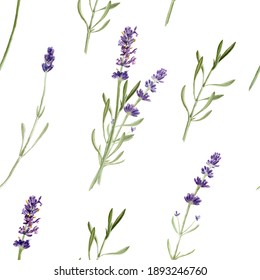 Lavender Flowers Seamless Pattern Isolated On White Background. Watercolor Hand Drawing  Botanical Illustration. For Card, Wallpaper, Packaging, Invitation