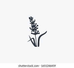Lavender icon isolated on clean background. Lavender icon concept drawing icon in modern style. illustration for your web mobile logo app UI design.